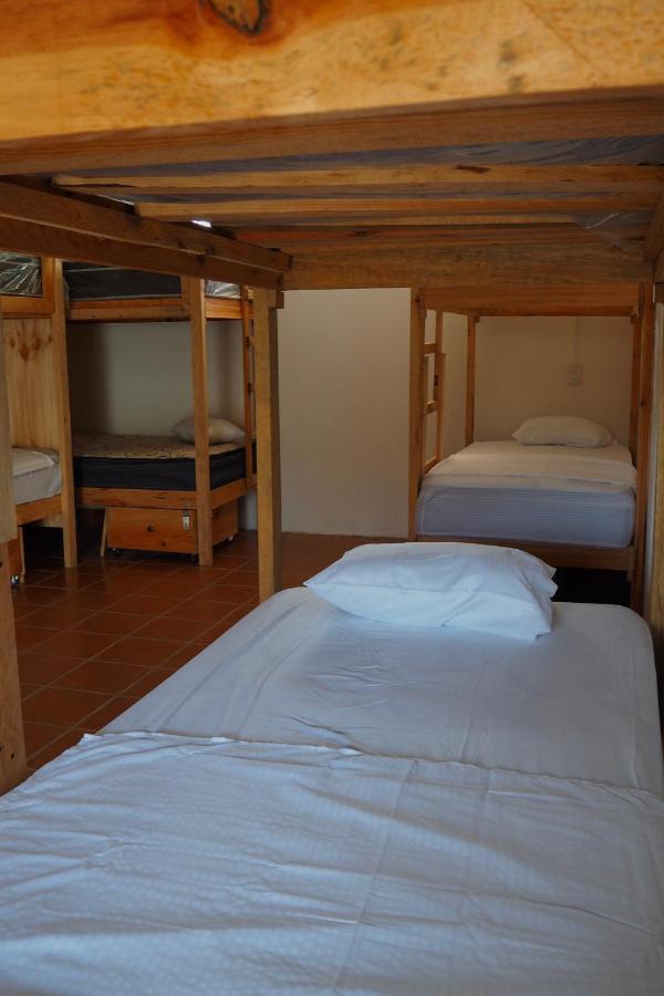 Colorada House Vandrehjem Puerto Escondido  Eksteriør billede